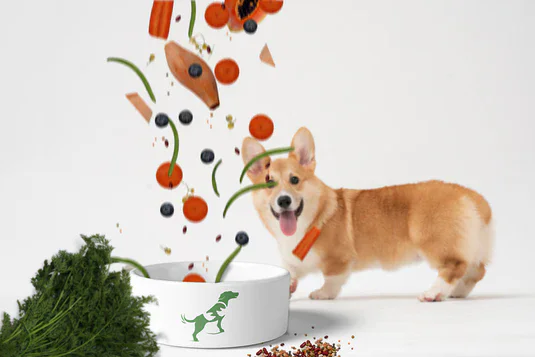 Just Be Kind Dog Food case study